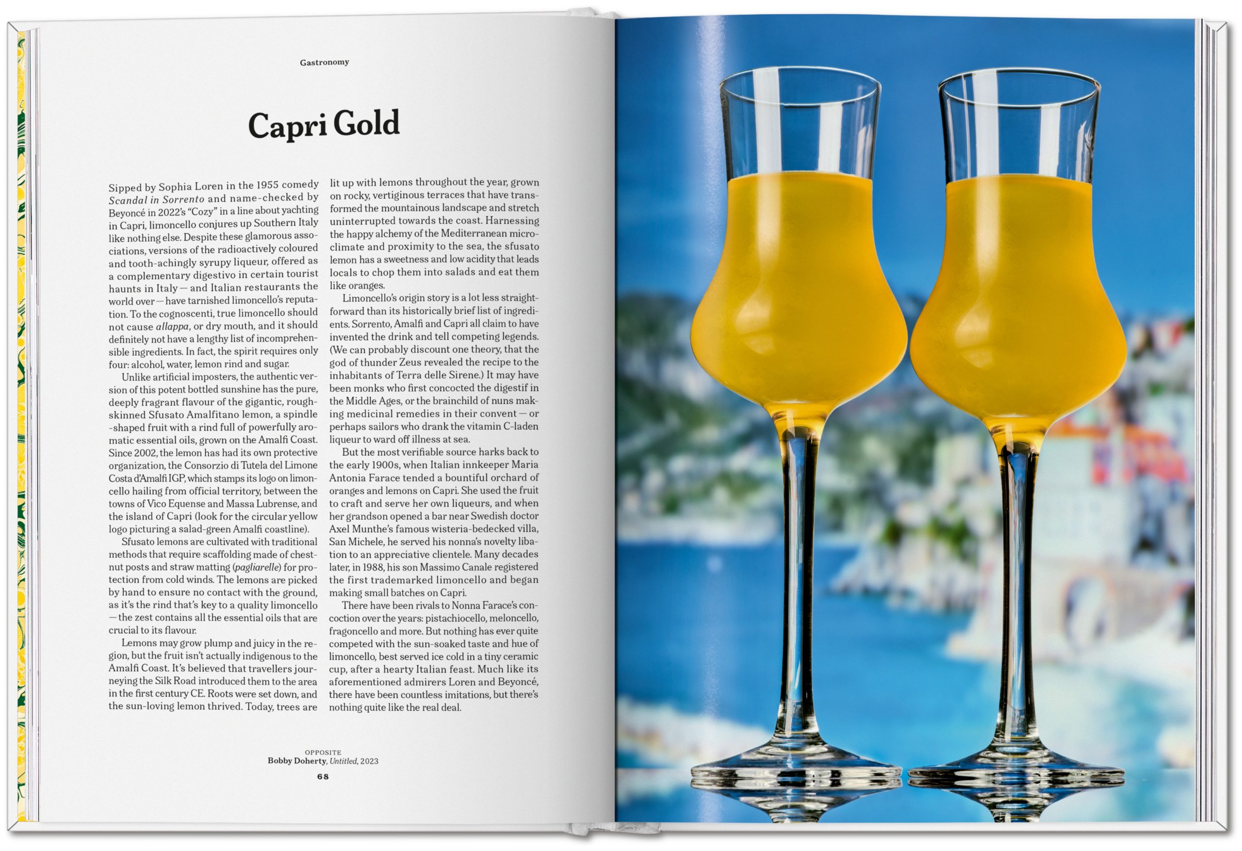 The Gourmand's Lemon : A Collection of Stories and Recipes - Bilde 8