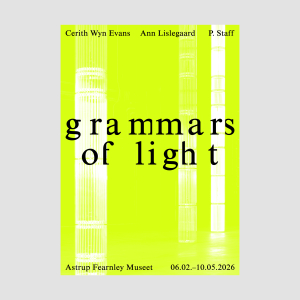 Plakat Grammars of Light (C.W.Evans)