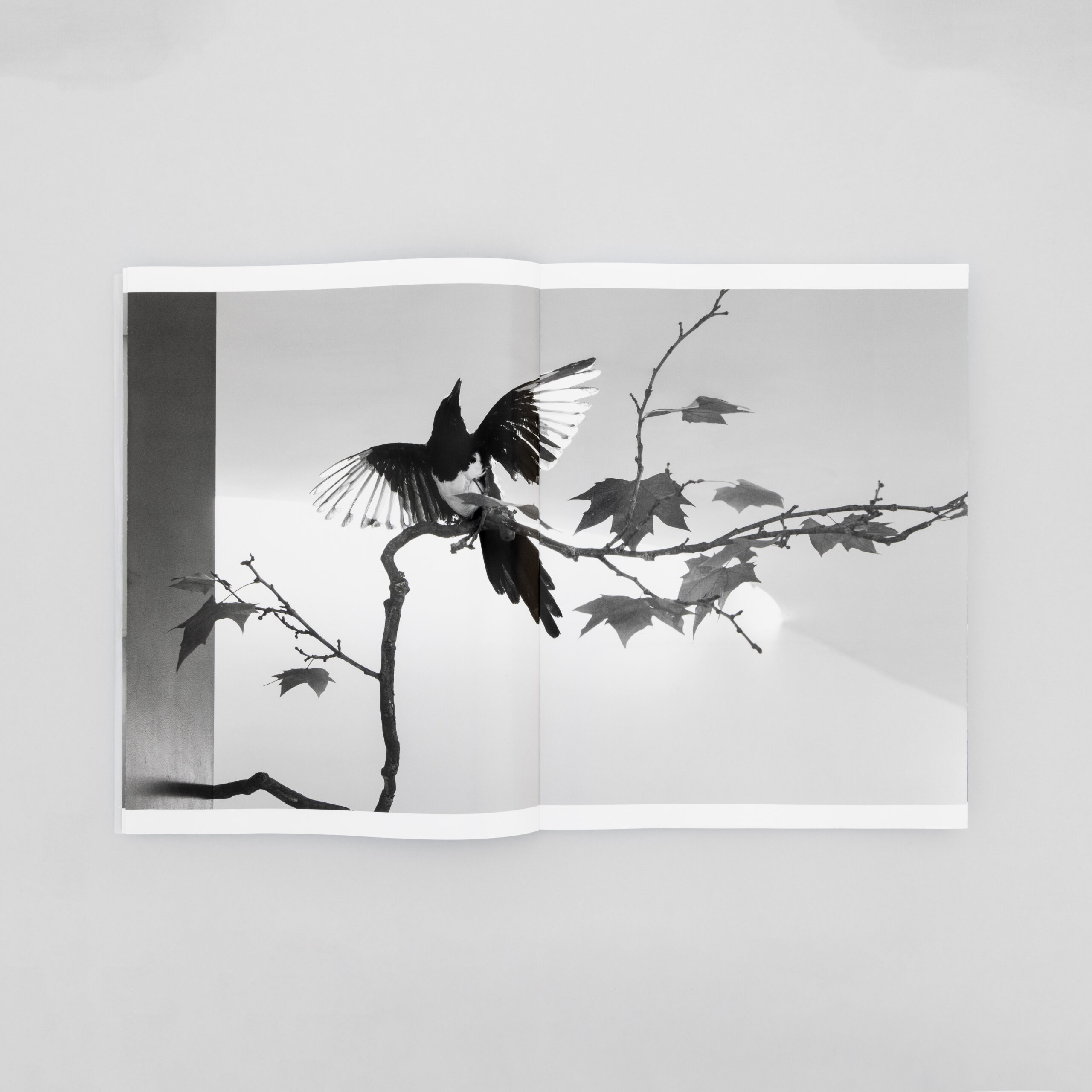 Cerith Wyn Evans - Forms in Space...through Light (in Time) - Bilde 2