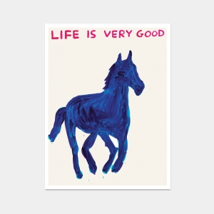 David Shrigley Poster - Life is Very Good