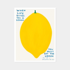 David Shrigley Poster - When Life Gives You a Lemon