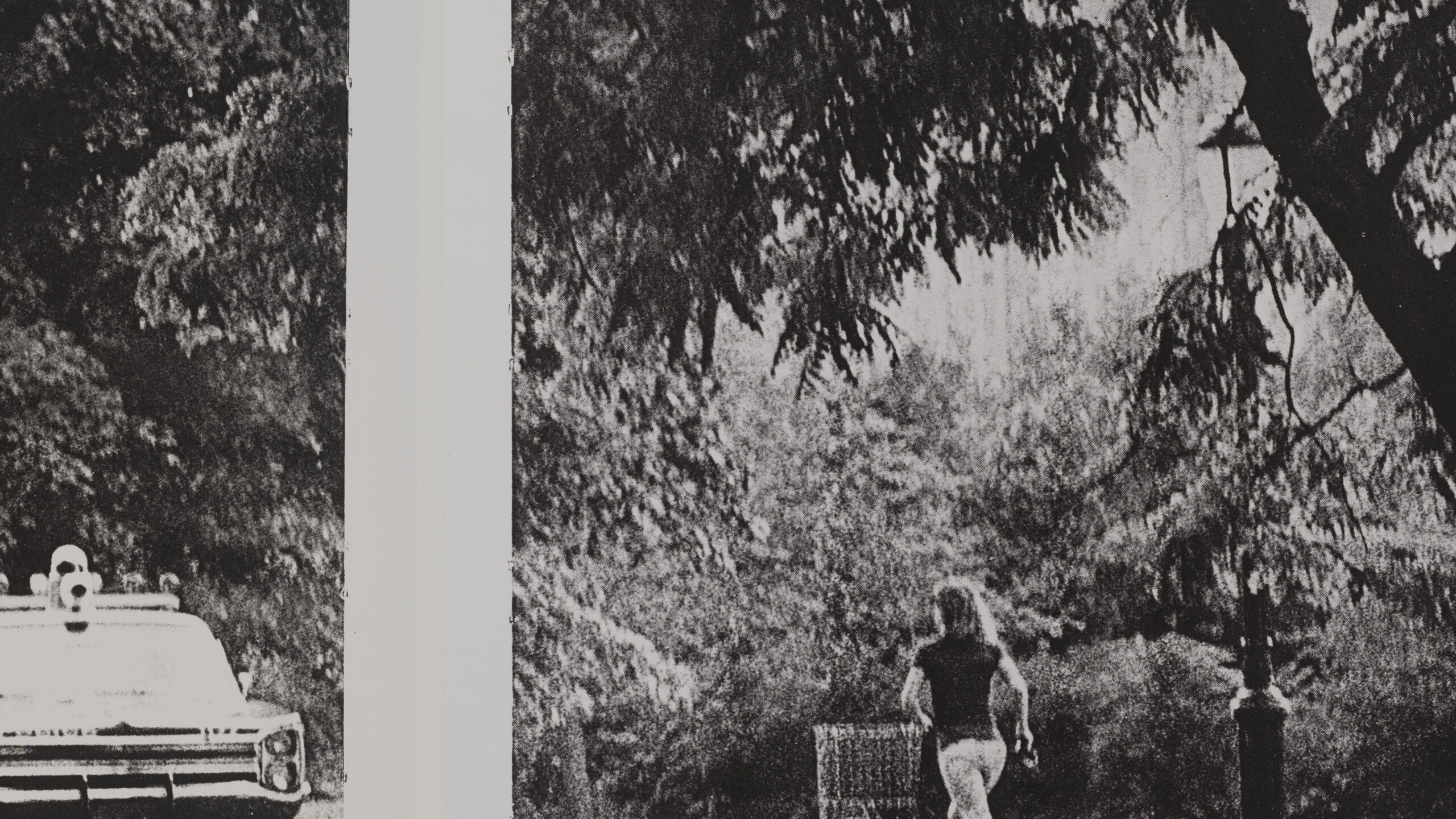 Lutz Bacher, Jackie & Me, 1989. Detalj. Astrup Fearnley-samlingen.