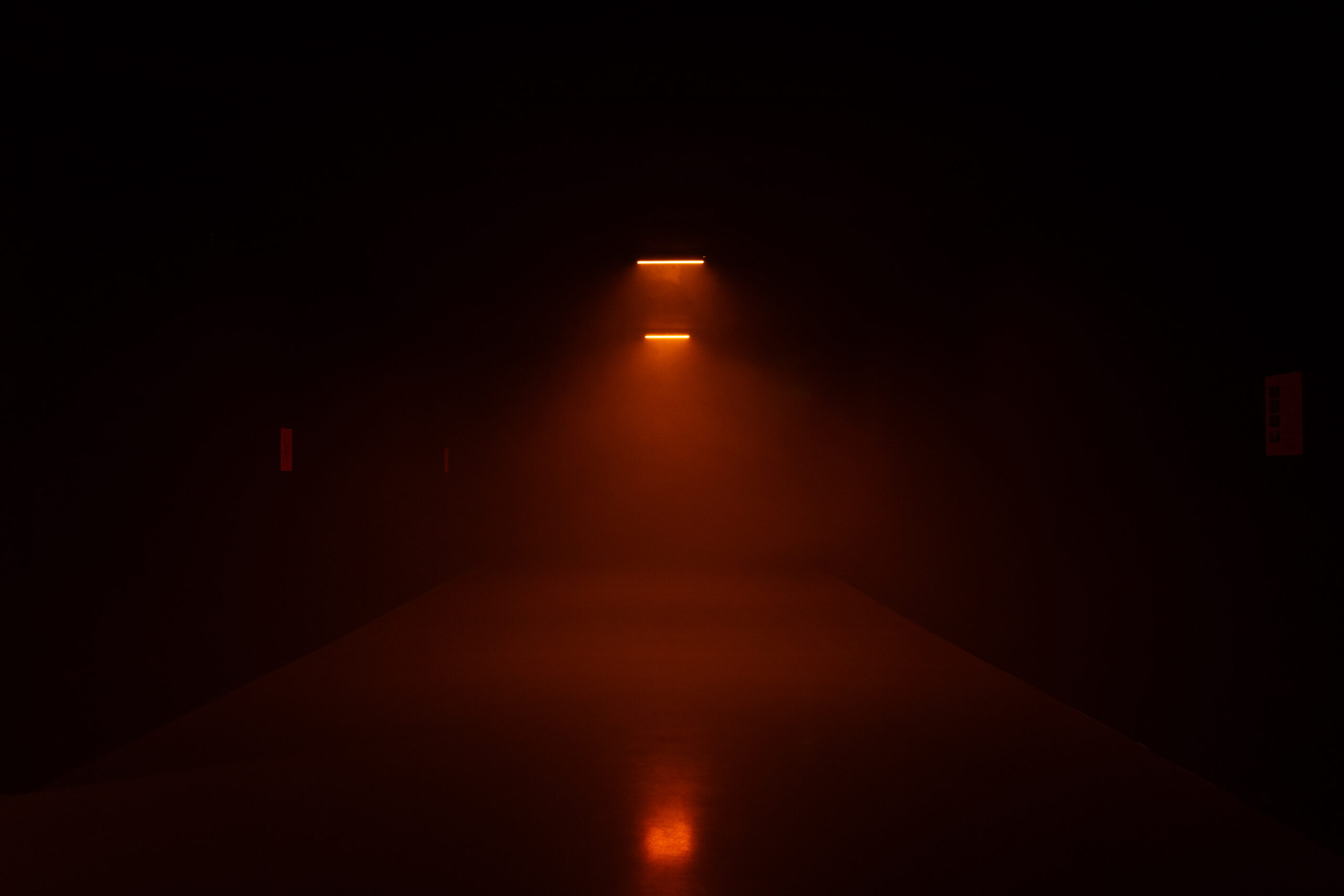 P. Staff, Hormonal Fog (Kunstverein), 2025, exhibition view Bonner Kunstverein. Photo: Niklas Goldbach.